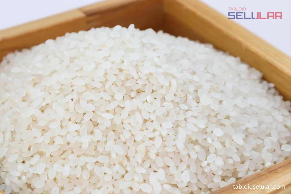 iPhone yang kemasukan air masukkan ke dalam beras