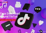 3 Cara Download Sound TikTok di Android & iPhone