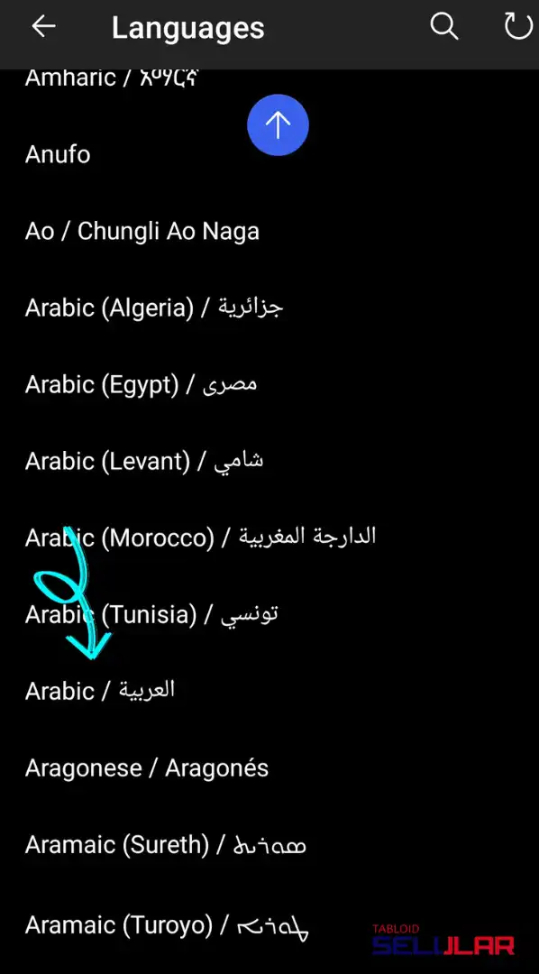 Masukkan Bahasa Arab ke dalam List “Bahasa Anda”