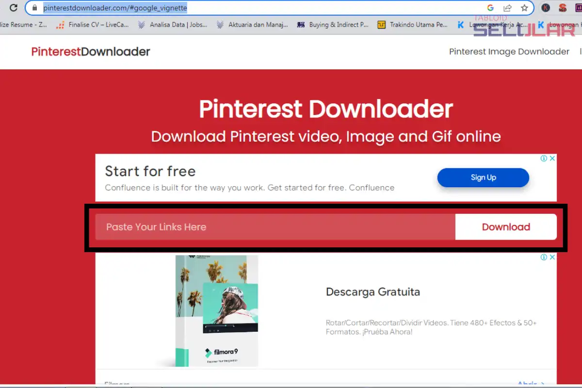 Cara Download Video di Pinterest Online