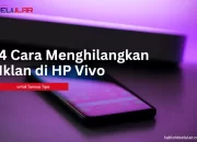 4 Cara Menghilangkan Iklan di HP Vivo Semua Tipe