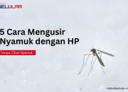 5 Cara Mengusir Nyamuk dengan HP, Tanpa Obat Nyamuk